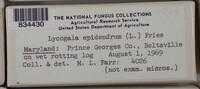 Image Associated With the Occurence